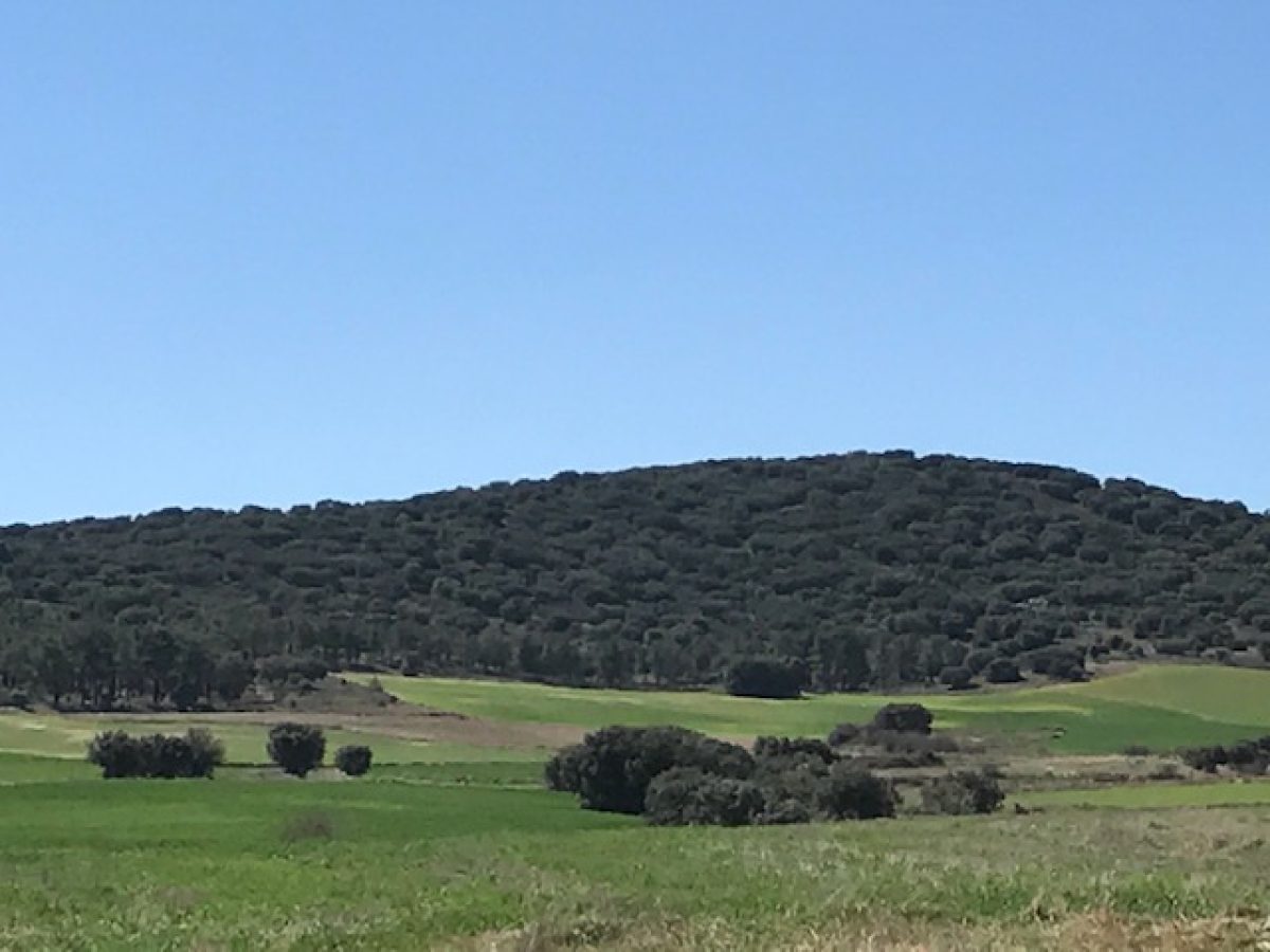La Casa